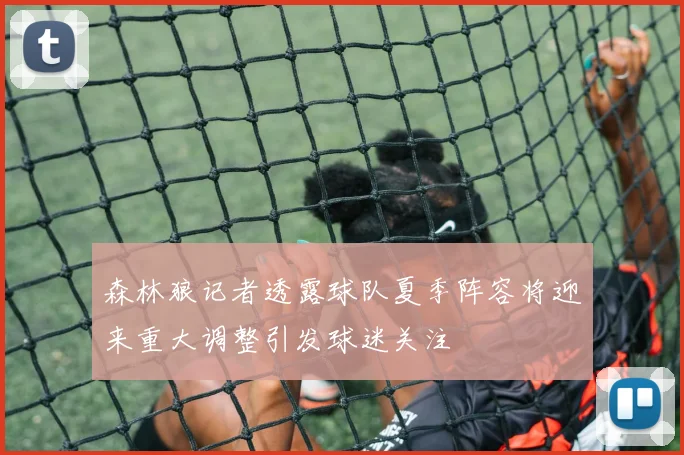 森林狼记者透露球队夏季阵容将迎来重大调整引发球迷关注
